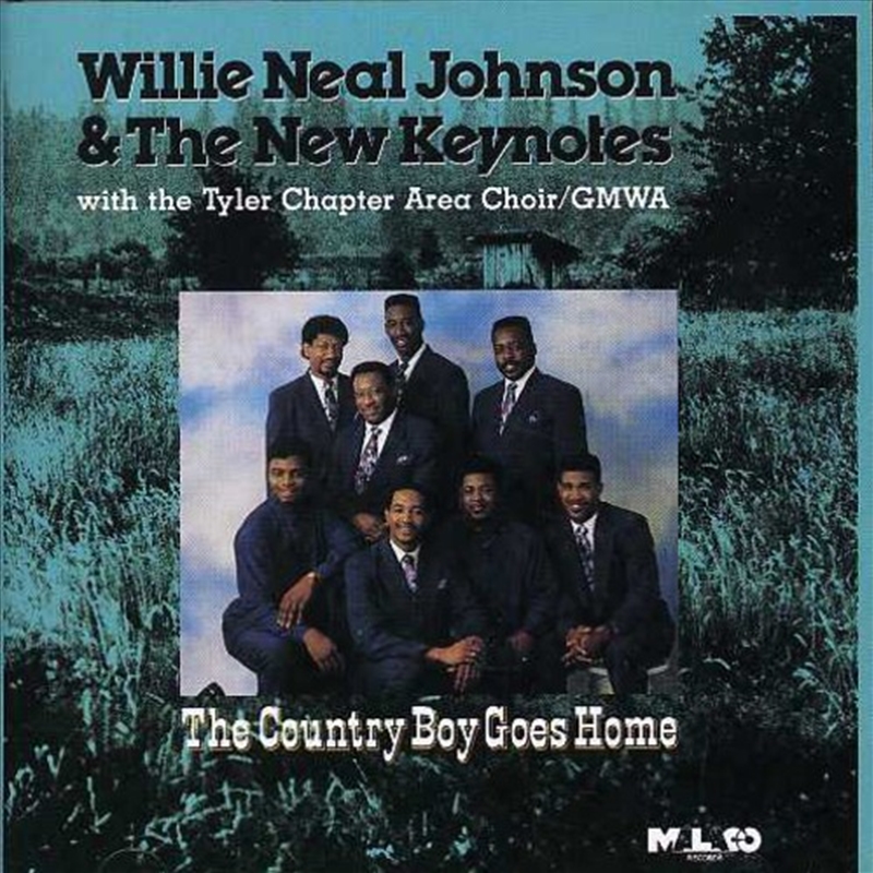 Country Boy Goes Home/Product Detail/Blues