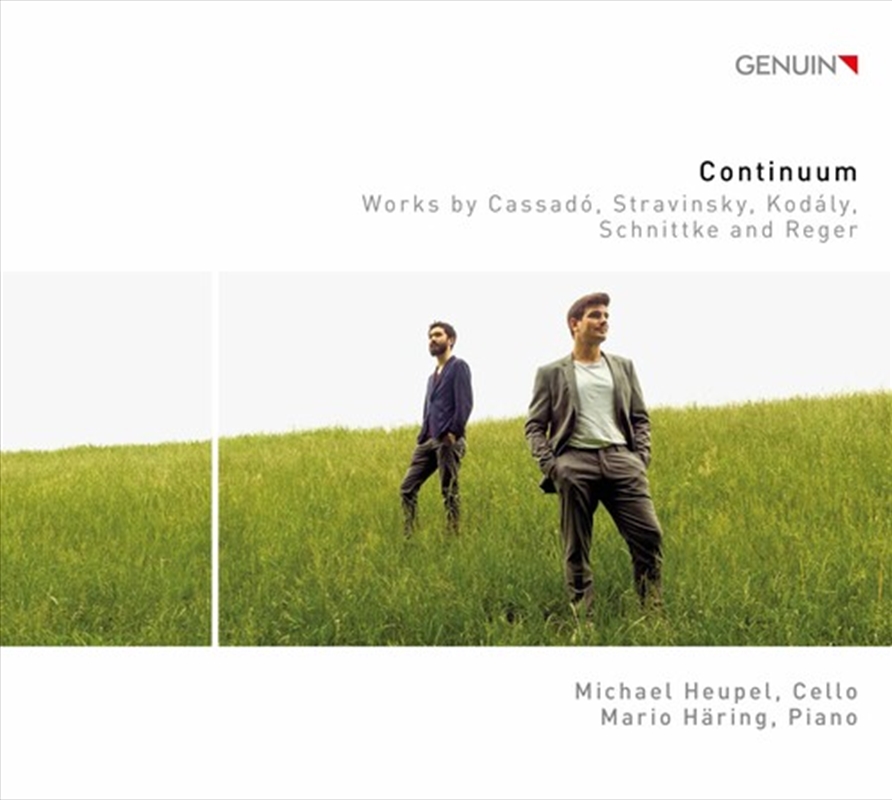 Continuum/Product Detail/Rock