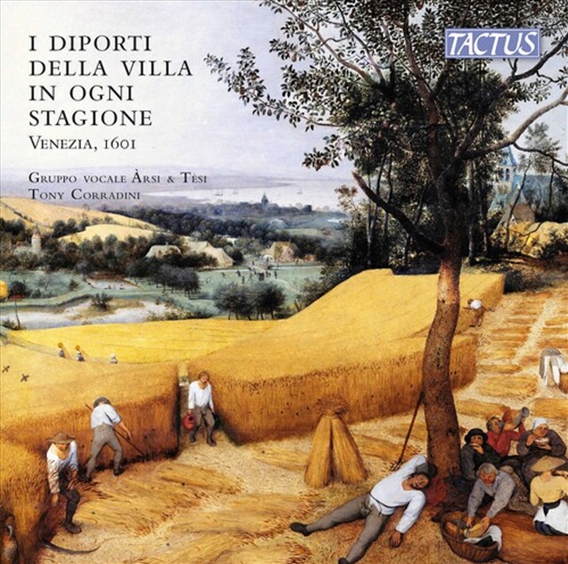 I Diporti Della Villa in Ogni/Product Detail/Rock