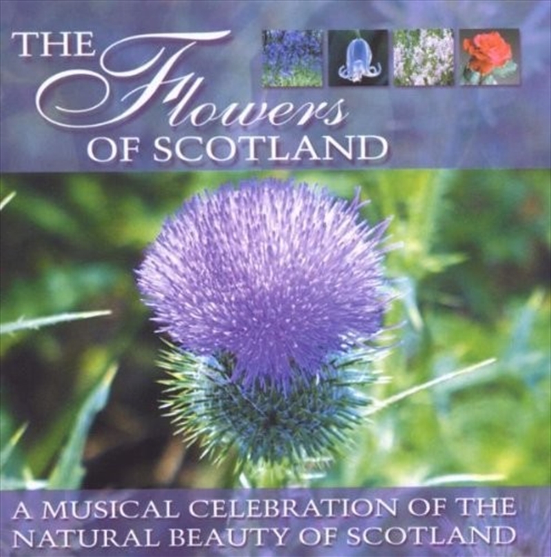 Flowers Of Scotland / Various/Product Detail/World
