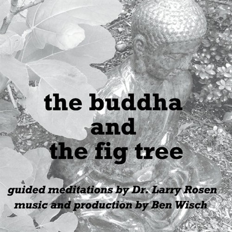 Buddha & Fig Tree/Product Detail/Rock