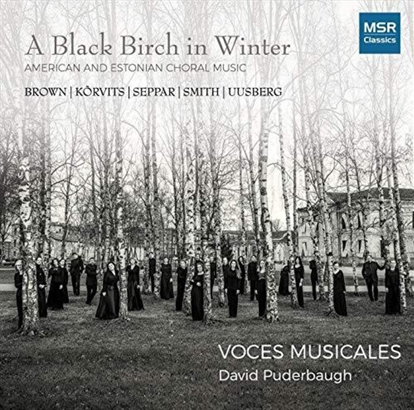 Black Birch in Winter/Product Detail/Classical