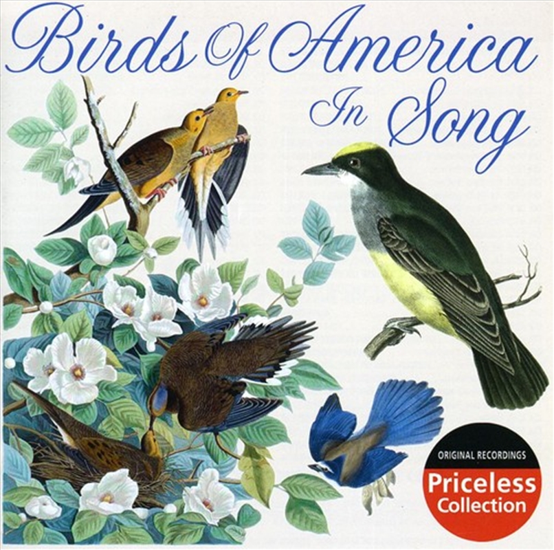 Birds Of America In Song/Product Detail/Compilation