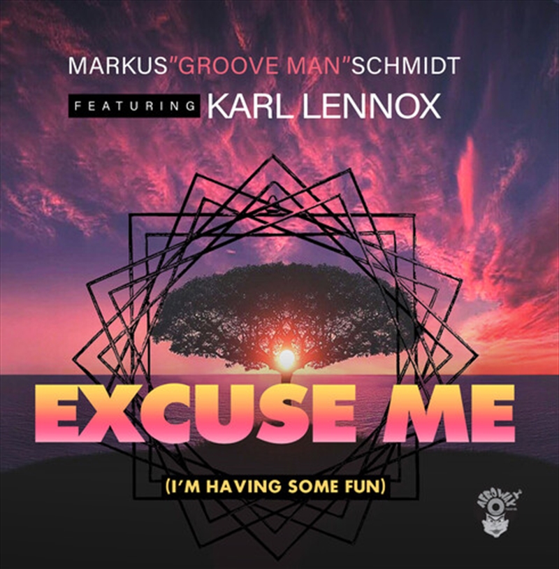Excuse Me (I'm Having Some Fun)/Product Detail/Dance