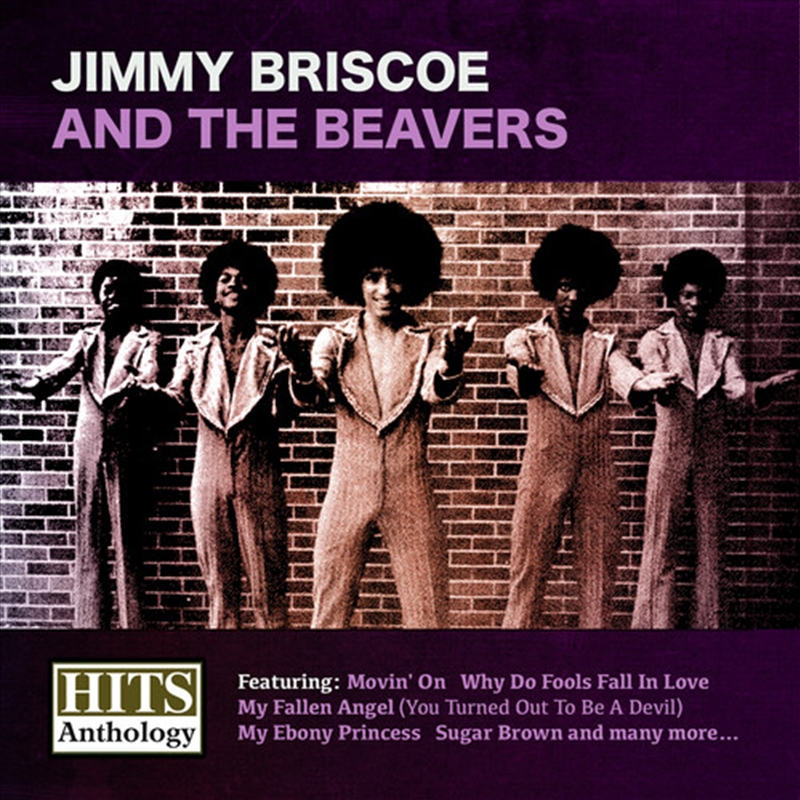Hits Anthology- Jimmy Briscoe & Beavers/Product Detail/Rock