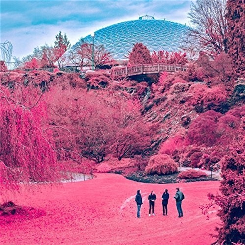 Swooner/Product Detail/Rock