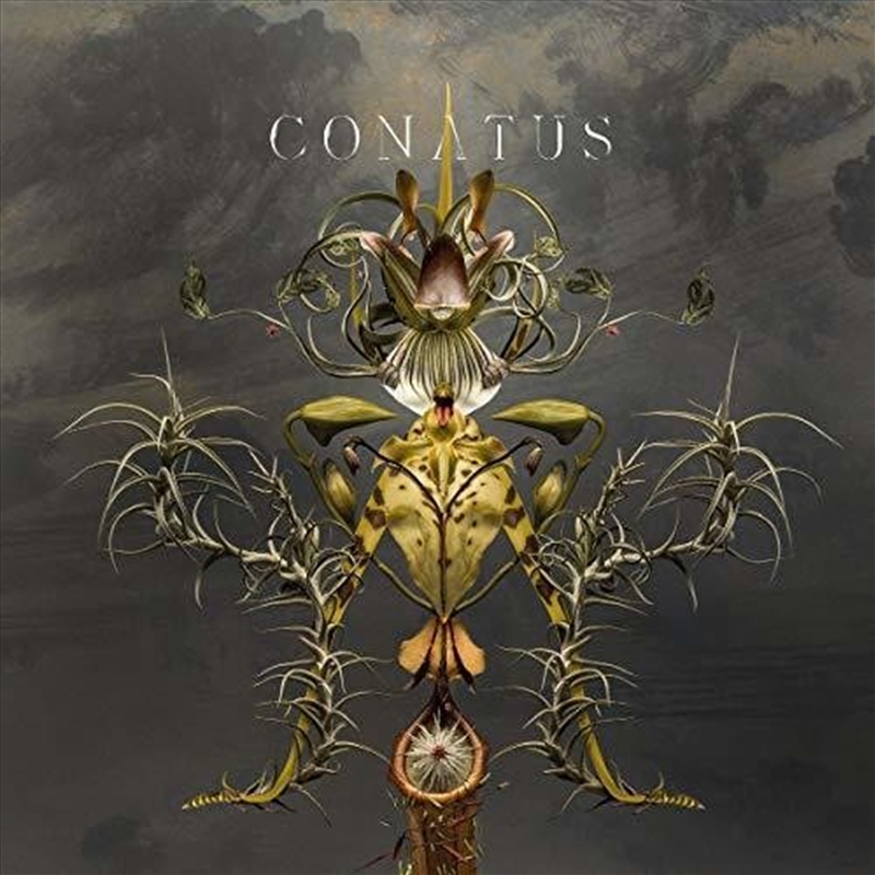 Conatus/Product Detail/Classical