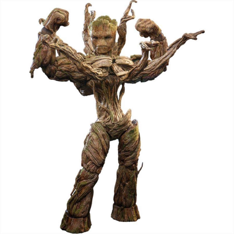 Guardians of the Galaxy Vol 3 - Groot 1:6 Scale Deluxe Hot Toy Action Figure/Product Detail/Figurines