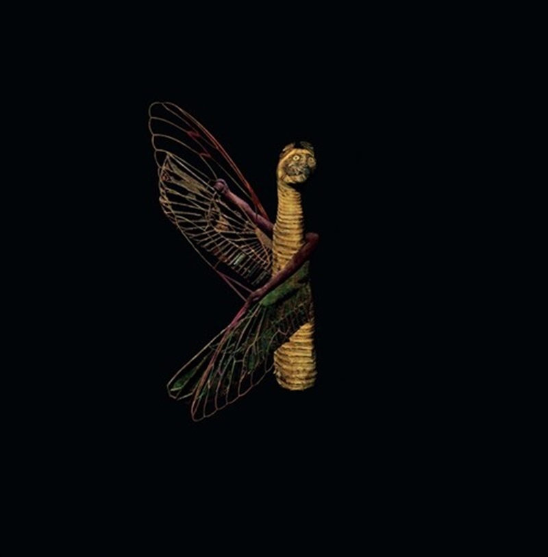 Saet El-Hazz/Product Detail/World