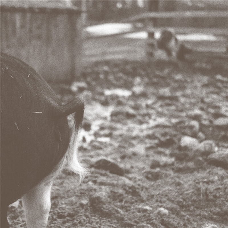 Tomorrow Is Too Late/Product Detail/Dance