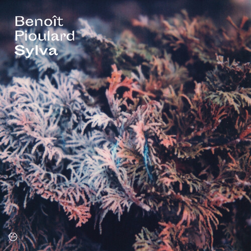 Sylva/Product Detail/Dance
