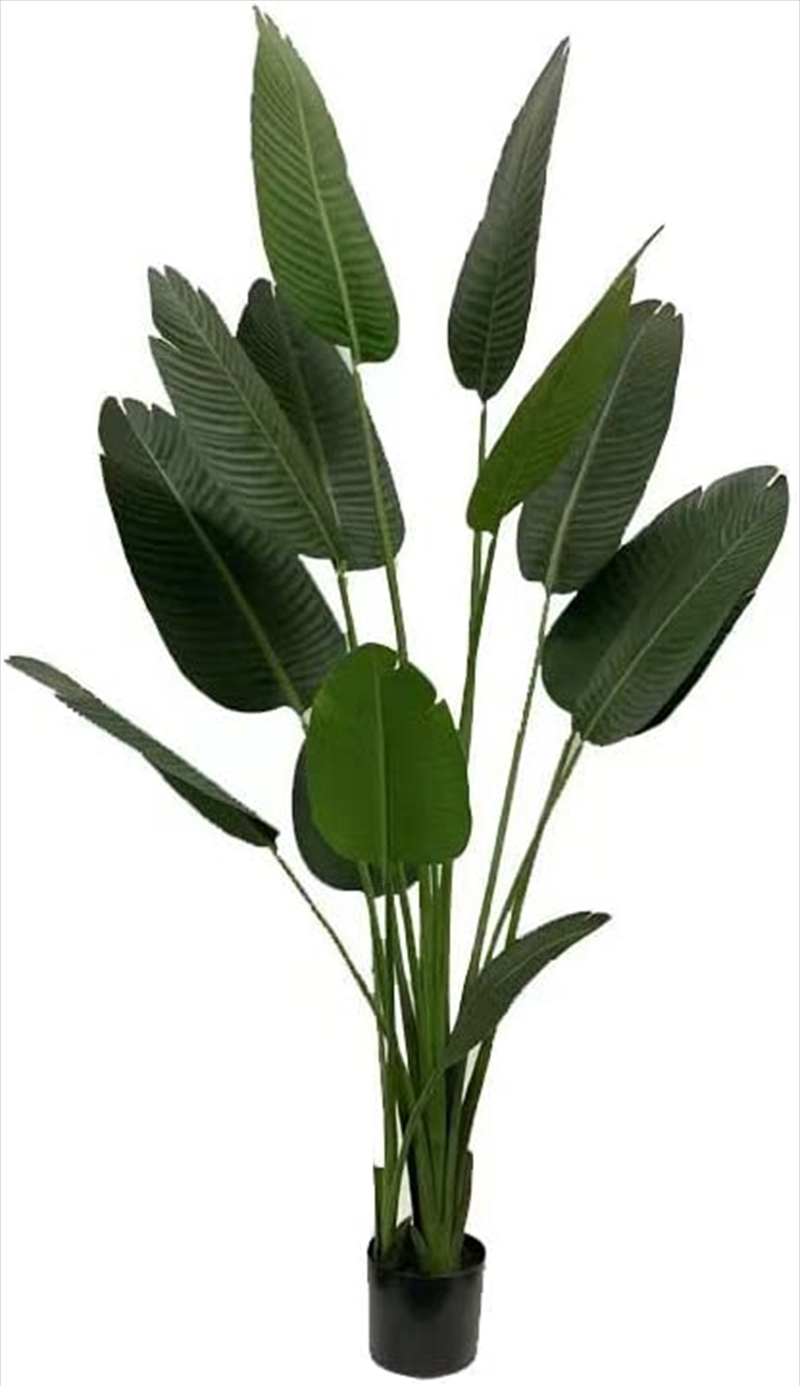 Gominimo Artificial Bird Paradise 180cm GO-AP-102-YHYM/Product Detail/Outdoor