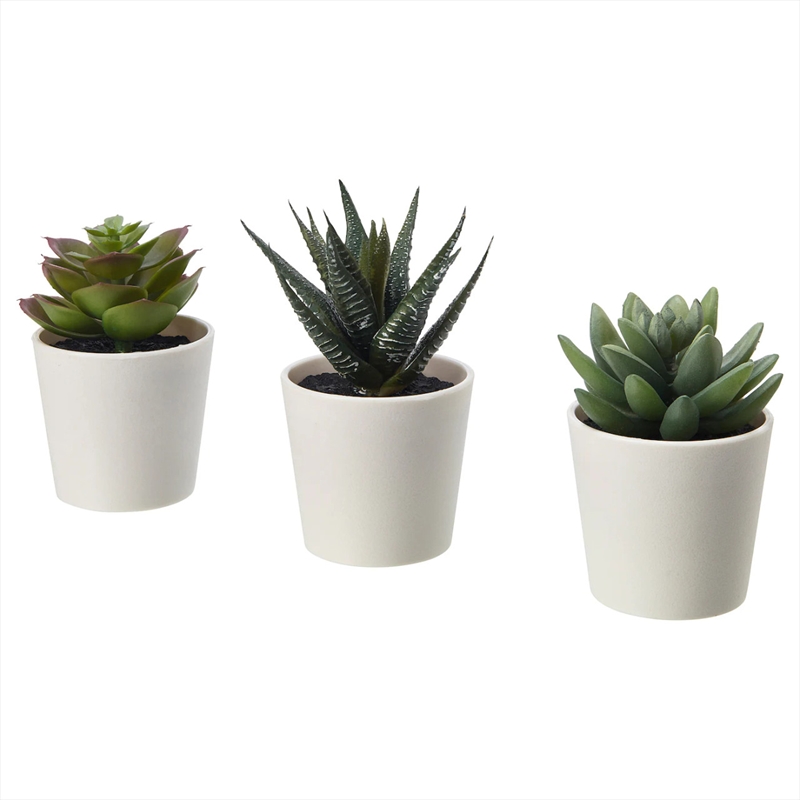 3 Pack of Artificial Succulent Potted Plants in White Plastic 6cm Pot Interior Decoration/Product Detail/Garden