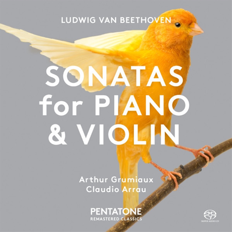 Beethoven: Sonatas For Piano A/Product Detail/Classical