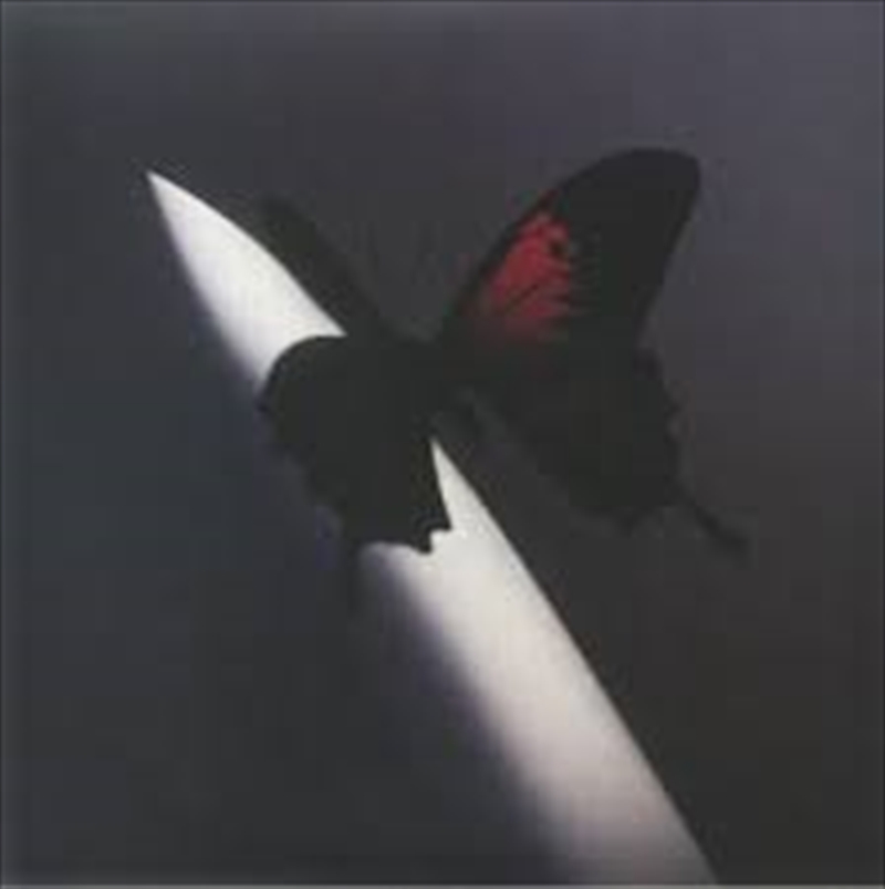 Twelve Carat Toothache/Product Detail/Rap