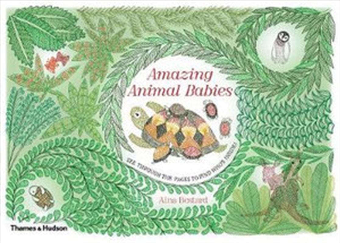 Amazing Animal Babies/Product Detail/Childrens