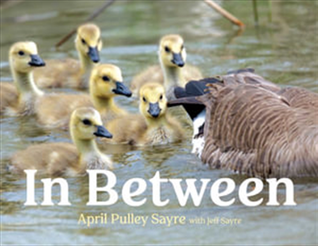 In Between/Product Detail/Early Childhood Fiction Books