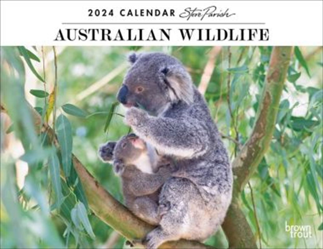 Australian Wildlife  Steve Parish  2024 12 x 19 Inch Monthly Horizontal Wall Calendar/Product Detail/Calendars & Diaries