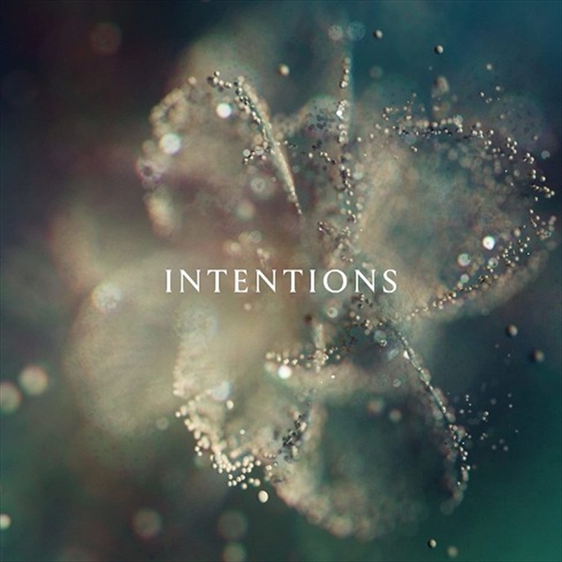 Intentions/Product Detail/World