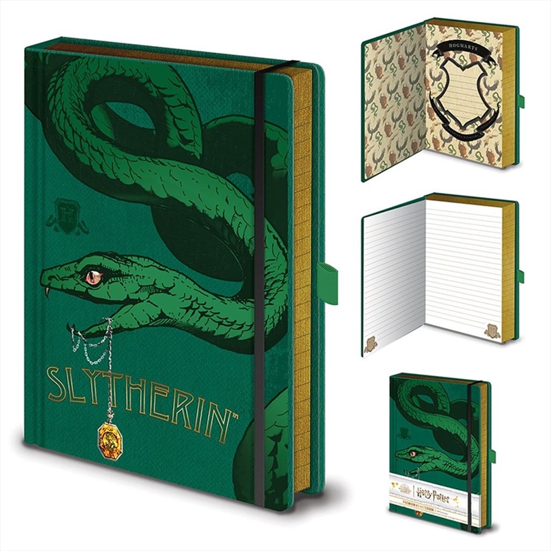 Harry Potter - Intricate Houses Slytherin - A5 Premium Notebook/Product Detail/Notebooks & Journals