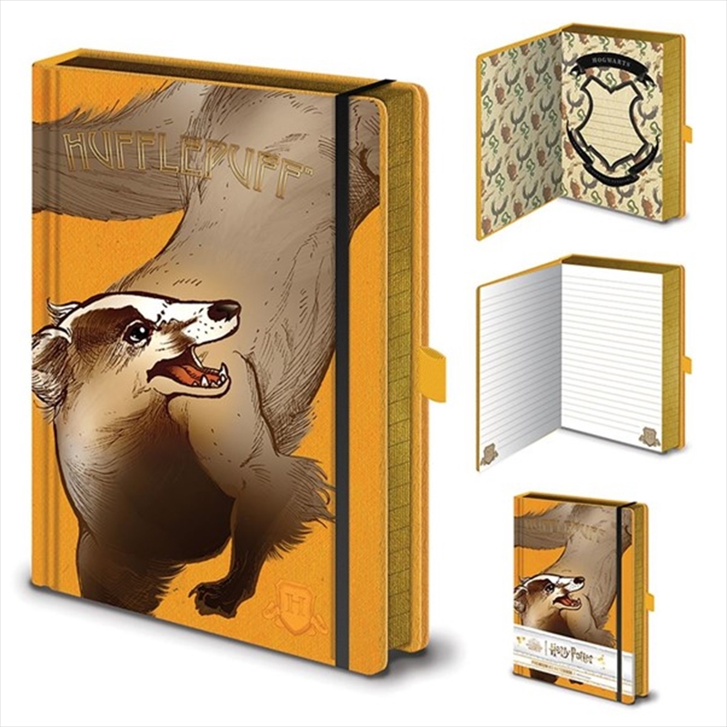 Harry Potter - Intricate Houses Hufflepuff - A5 Premium Notebook/Product Detail/Notebooks & Journals
