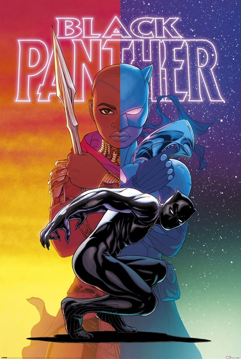 Black Panther: Wakanda Forever - Colour Split/Product Detail/Posters & Prints