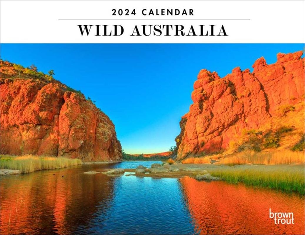 Wild Australia  2024 12 x 19 Inch Monthly Horizontal Wall Calendar/Product Detail/Calendars & Diaries