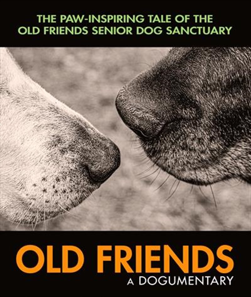 Old Friends - A Dogumentary/Product Detail/Documentary