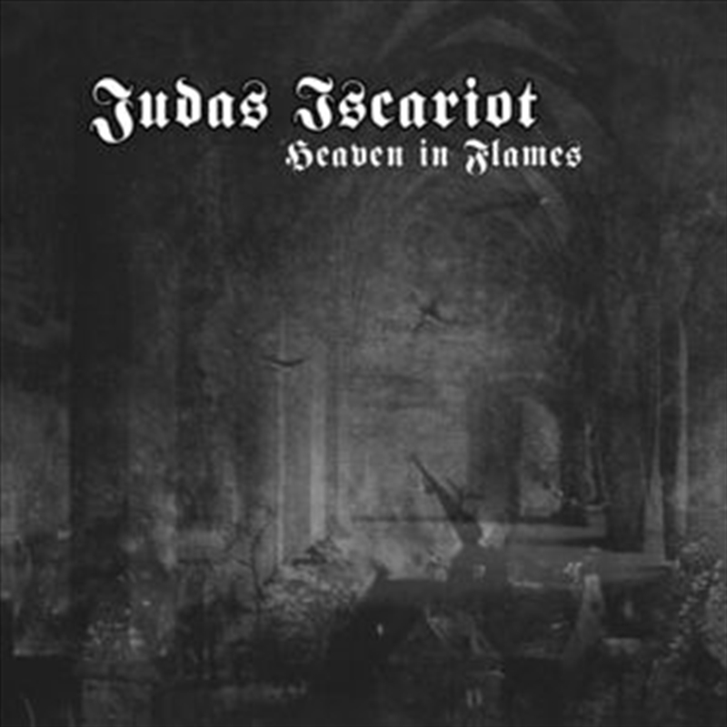 Heaven In Flames/Product Detail/Rock/Pop