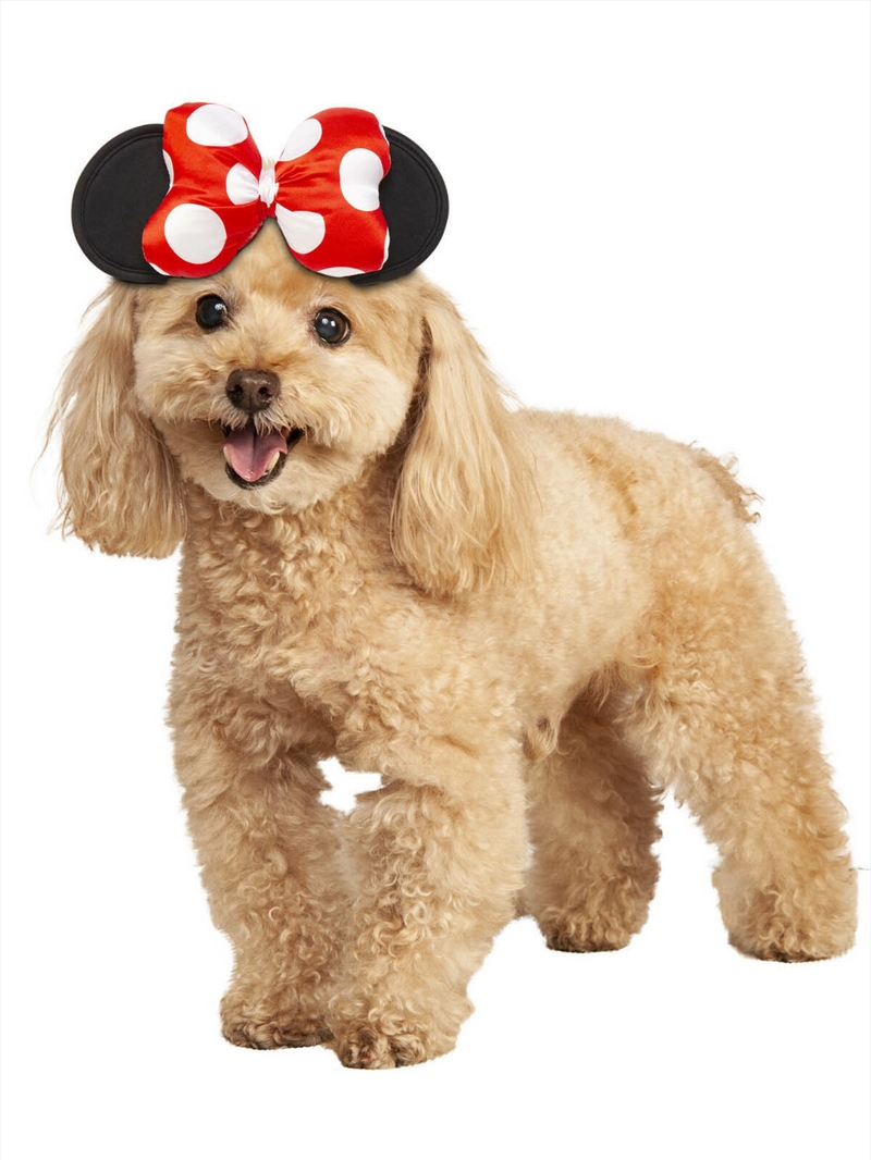 Minnie Mouse Pet Accessory - Size M-L/Product Detail/Costumes