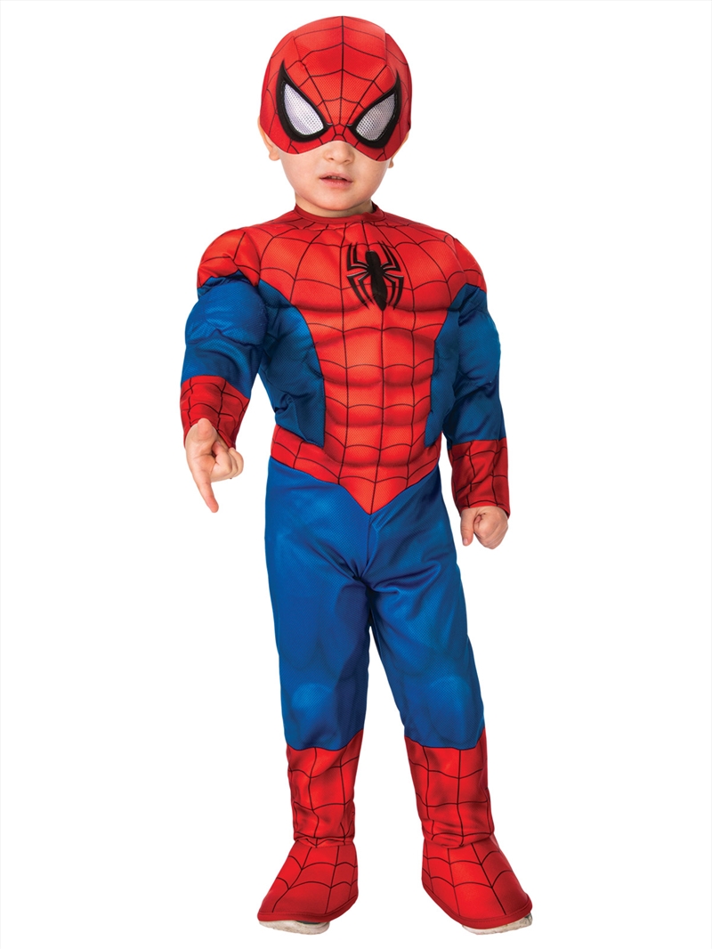 Spider-Man Deluxe Costume - Size Toddler/Product Detail/Costumes