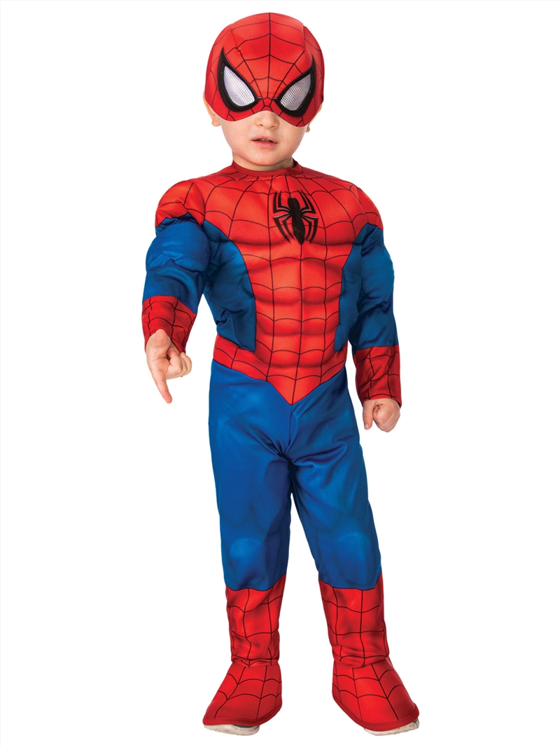 Spider-Man Deluxe Costume - Size Toddler/Product Detail/Costumes