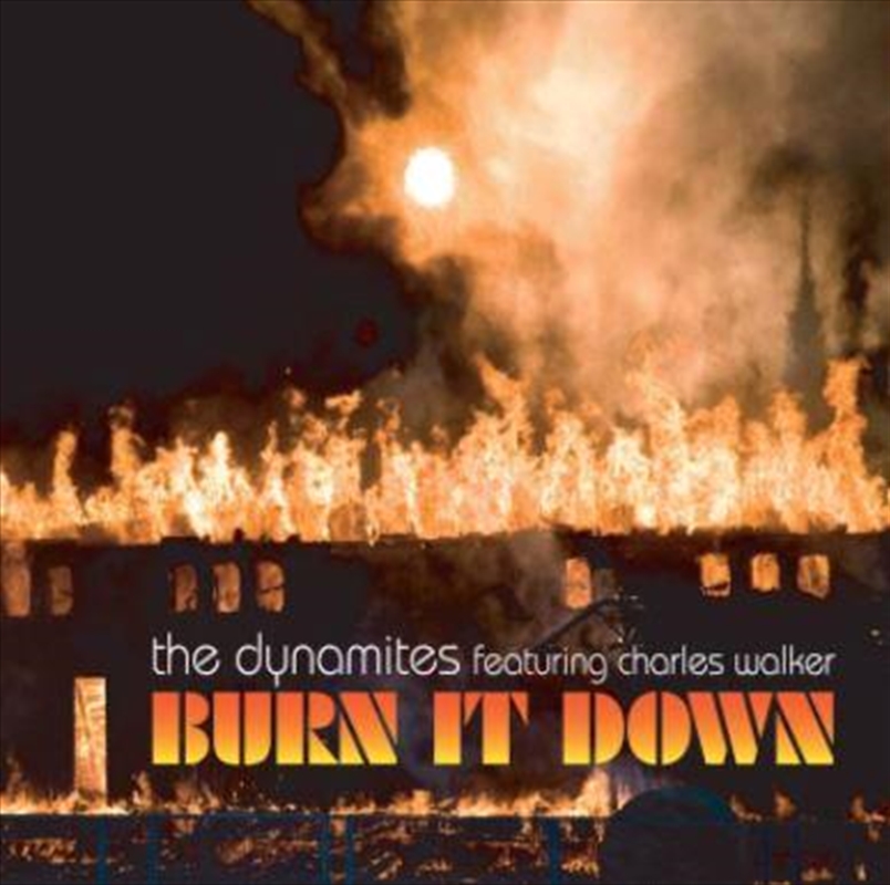 Burn It Down/Product Detail/R&B