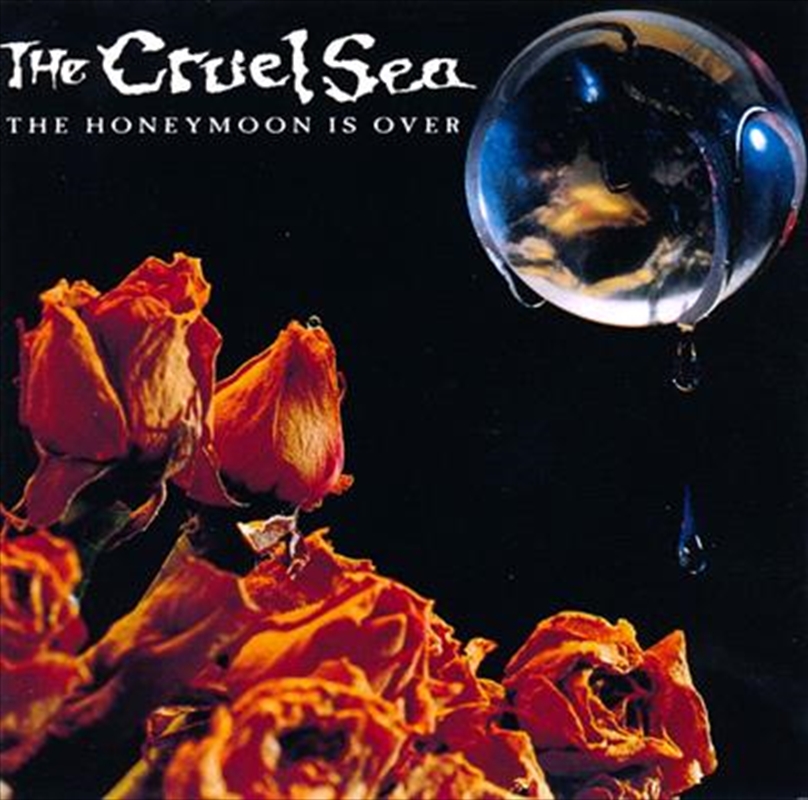 Honeymoon Is Over - 30th Anniversary Edition/Product Detail/Alternative