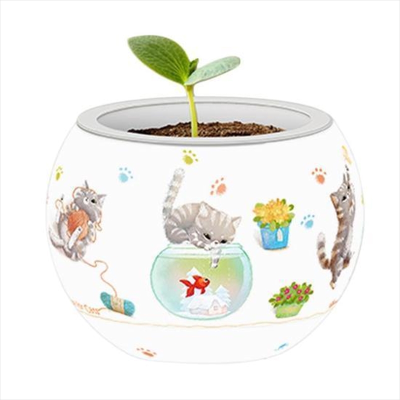 3d Flowerpot Cat's Play Time/Product Detail/Jigsaw Puzzles