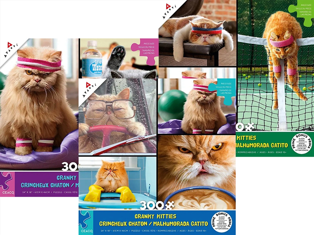 Cranky Kitties 300 Piece XL Assorted (SENT AT RANDOM)/Product Detail/Jigsaw Puzzles