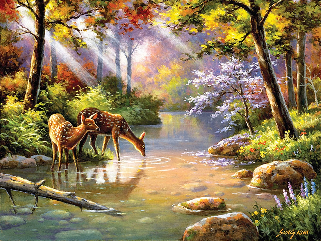 Doe Re Me Creek 300 Piece Xl/Product Detail/Jigsaw Puzzles
