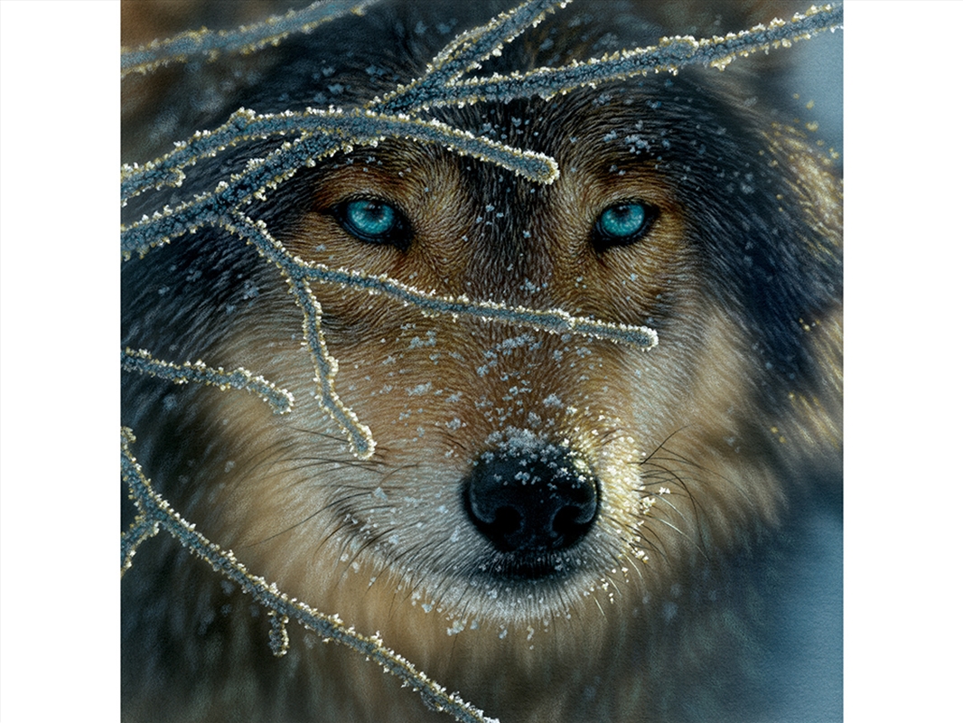 Fire Within Ice 500 Piece/Product Detail/Jigsaw Puzzles