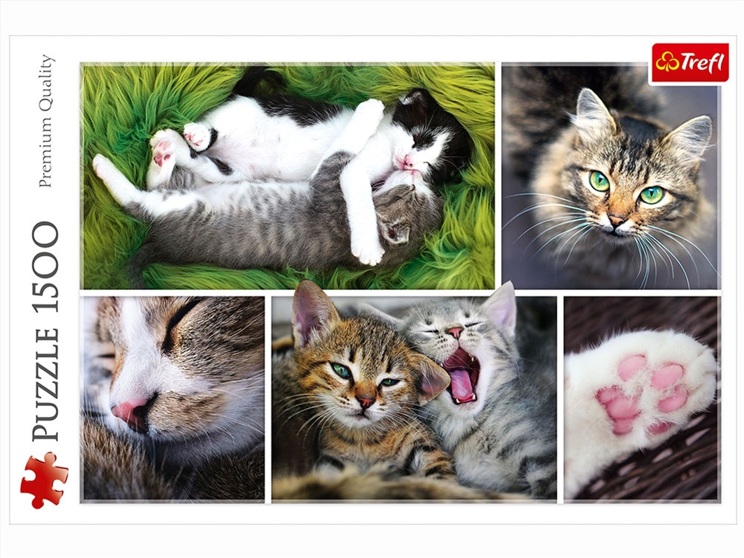 Just Cat Things 1500 Piece/Product Detail/Jigsaw Puzzles