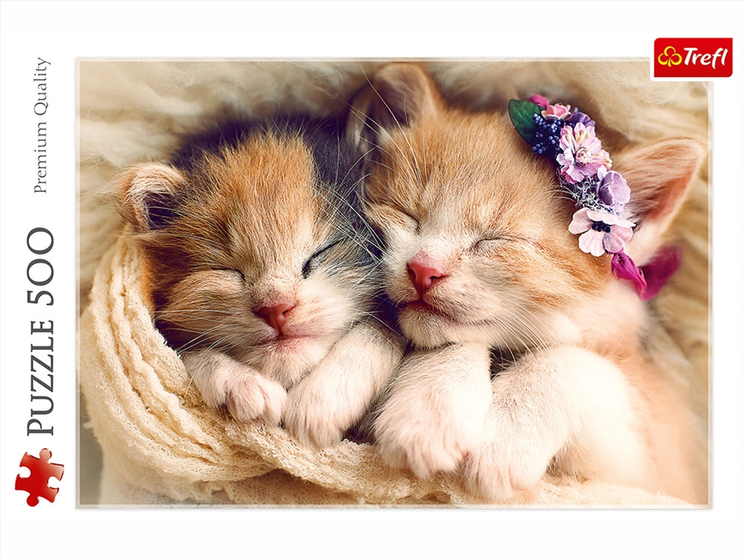 Sleeping Kittens 500 Piece/Product Detail/Jigsaw Puzzles