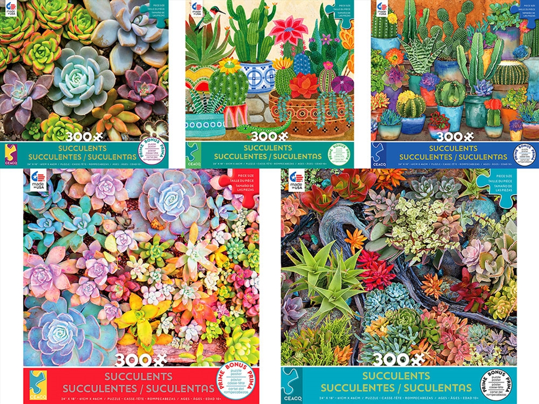 Succulents 300 Piece XL Assorted (SENT AT RANDOM)/Product Detail/Jigsaw Puzzles