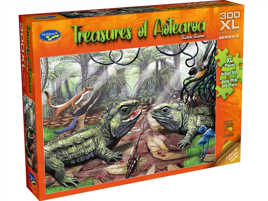 Treasures Aote Tuatara 300pcxl/Product Detail/Jigsaw Puzzles