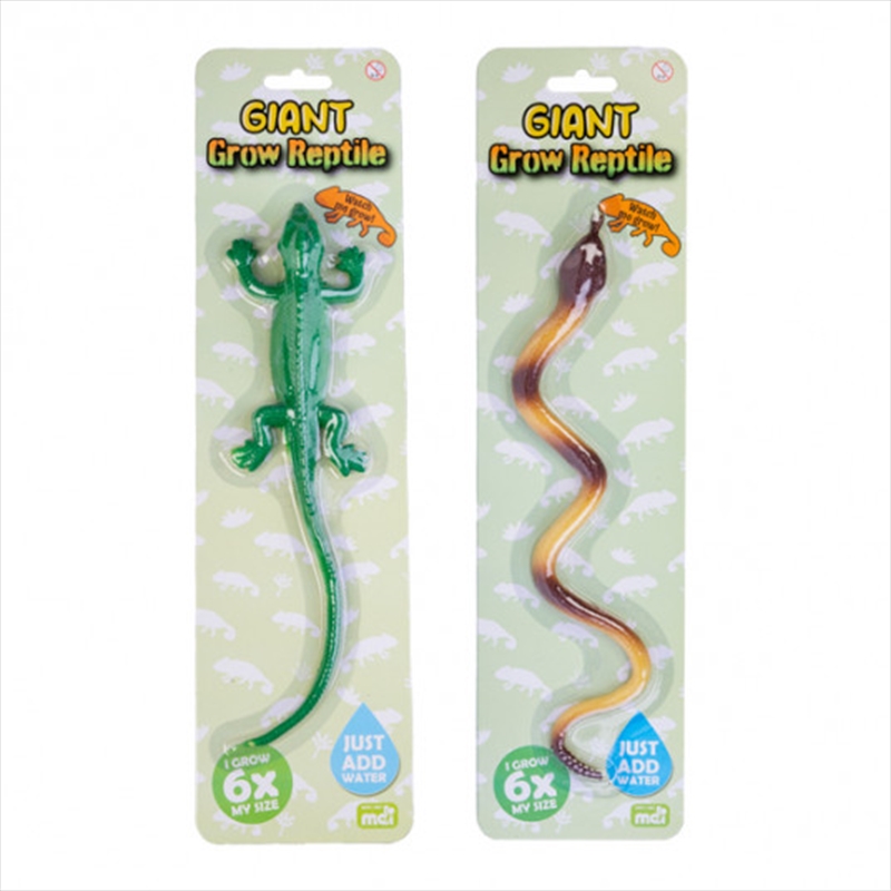 Giant Grow Reptile (SENT AT RANDOM)/Product Detail/Toys