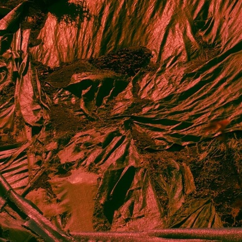 Crepuscule I And Ii CD/Product Detail/Dance