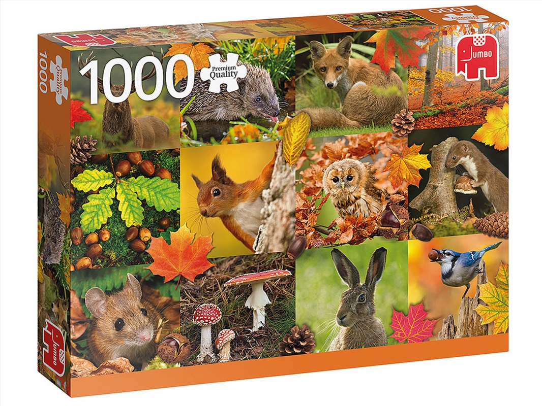 Autumn Animals 1000 Piece/Product Detail/Jigsaw Puzzles