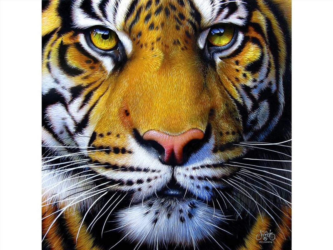 Golden Tiger Face 1000 Piece/Product Detail/Jigsaw Puzzles