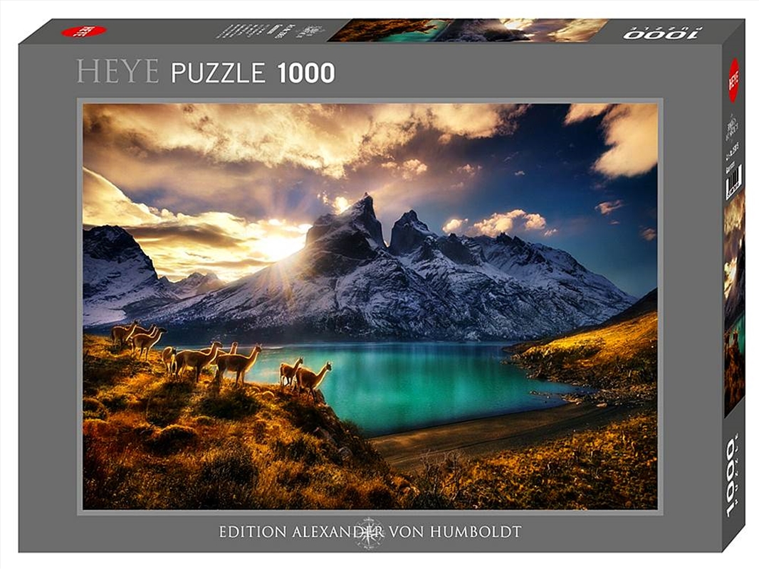 Guanacos 1000 Piece/Product Detail/Jigsaw Puzzles