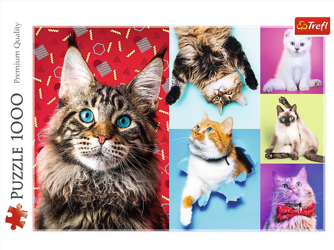 Happy Cats 1000 Piece/Product Detail/Jigsaw Puzzles