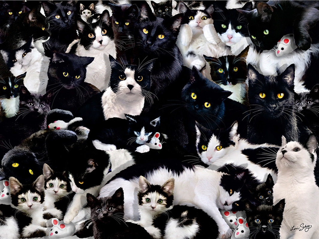 Study In Black And White 1000 Piece/Product Detail/Jigsaw Puzzles