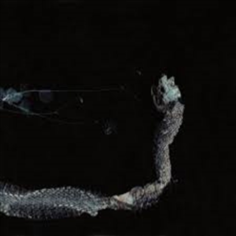 Maaaet/Product Detail/Rock/Pop